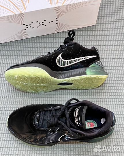 Баскетбольные кроссовки Nike Lebron 21 Black-Gren