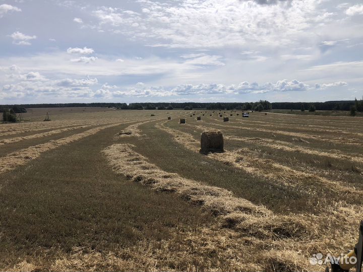 Сено с соломой