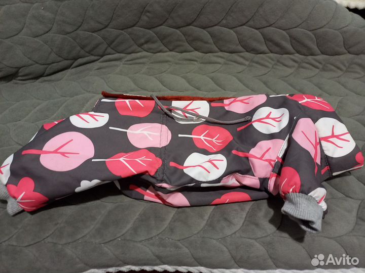 Курточка на собачку