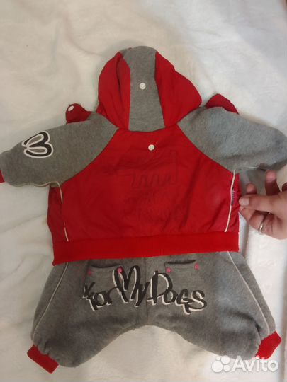 Одежда для собак