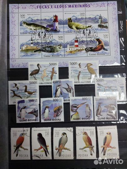 Комплект марок блоков Фауна к.171