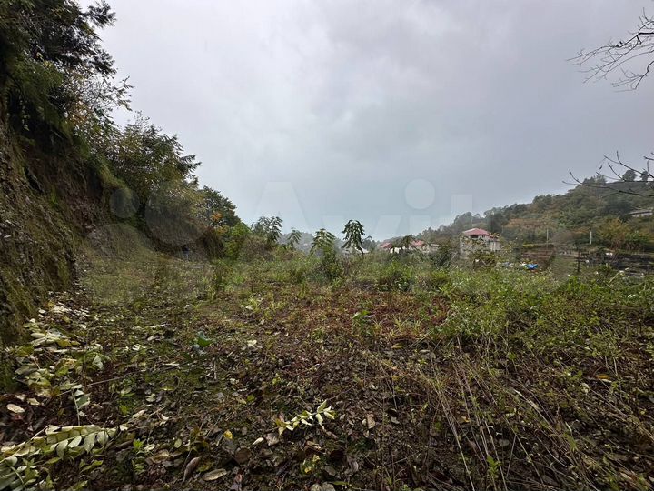 Участок 3150 м² (Грузия)