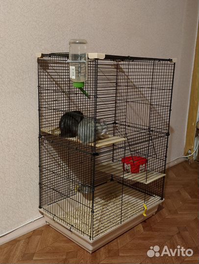 Лёлик и Болик(с клеткой)