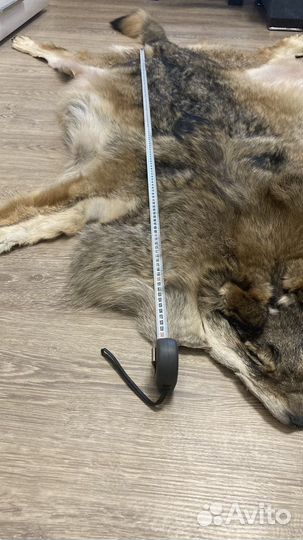 Шкура волка