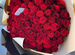 101 Роза Цветы Букеты 501 201 59 Розы Доставка
