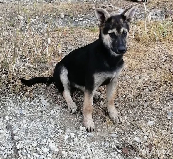 Мальчишка подросток ищет дом