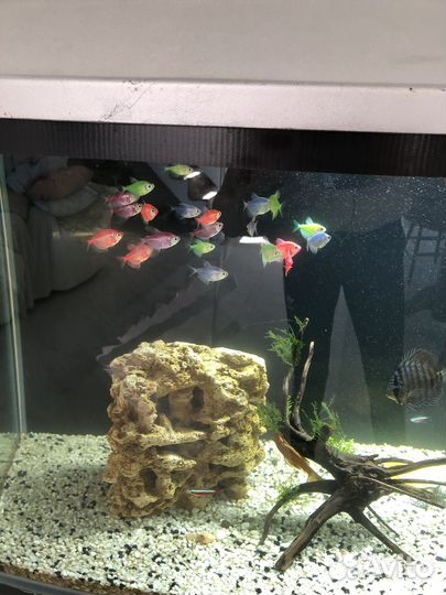 Аквариум с тумбой 170 литров