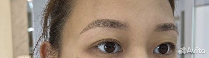 Мастер бровист