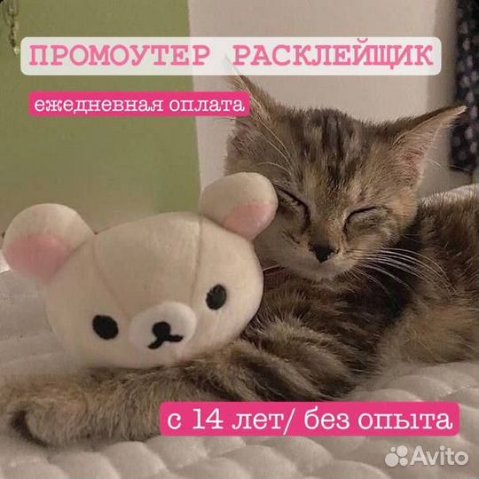 Промоутер/расклейщик с 14 лет