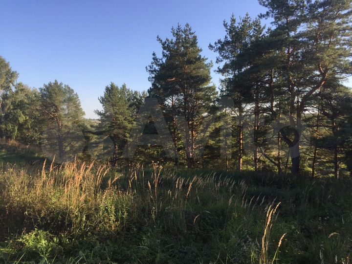 Участок 1,18 га (СНТ, ДНП)