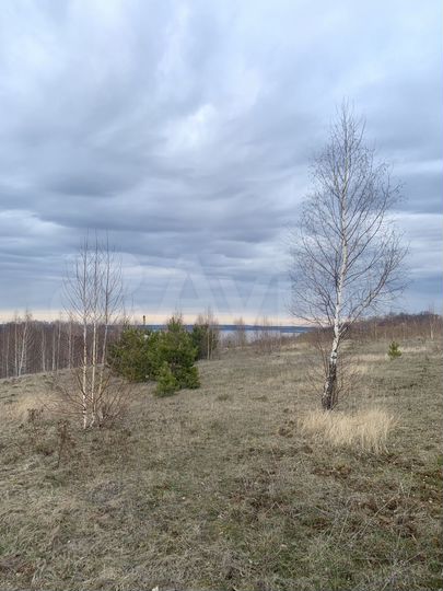 Участок 76,3 сот. (ИЖС)