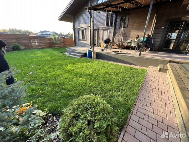 Рулонный газон для загородного дома