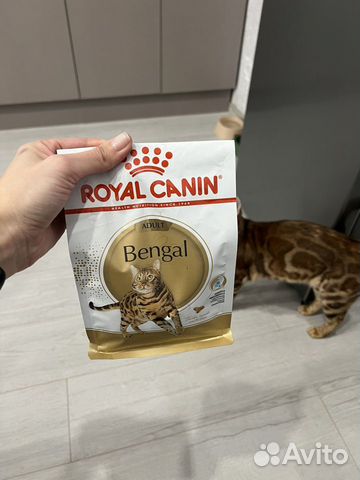 Корм для кошек royal canin