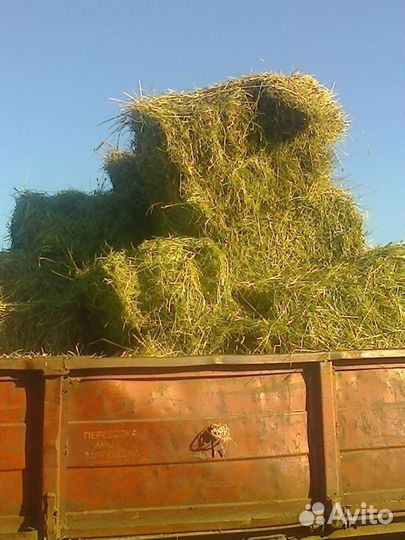 Сено в тюках и рулонах