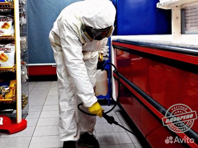 Уничтожение клопов тараканов дезинфекция плесени
