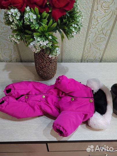 Вещи для животных