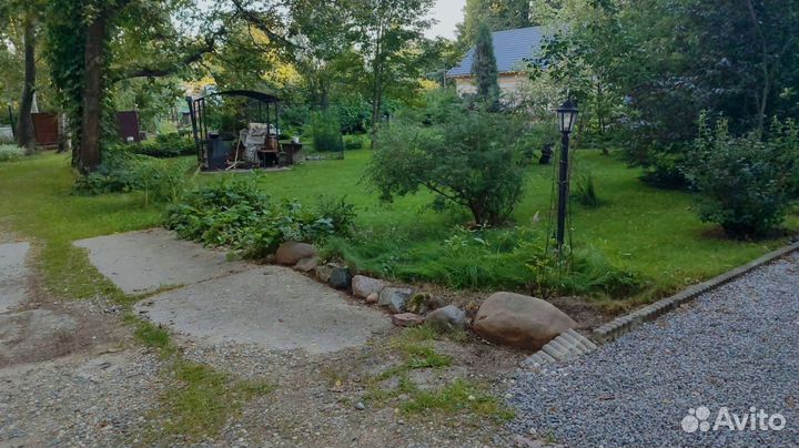 Сосновая кора