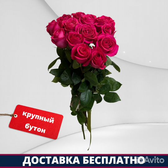 Розы Эквадор - 13 шт. 70 см