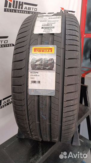 Pirelli Scorpion 255/45 R19 100V