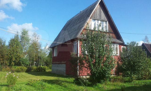Санкт петербурге авито санкт петербурге даче