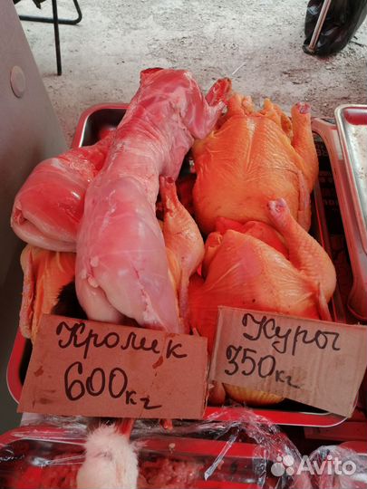 Продам мясо