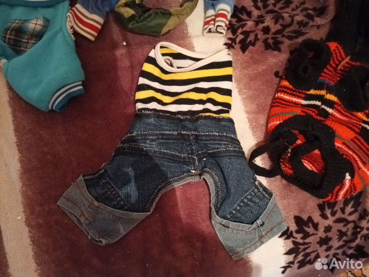 Вещи для собак пакетом