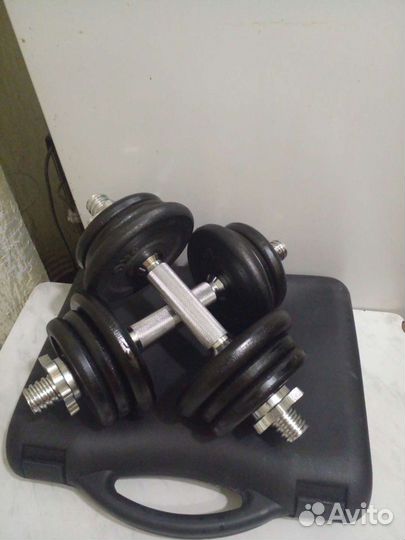 Гантели(в кейсе),турники 3в1,степперы