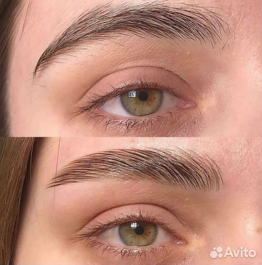 Мастер бровист