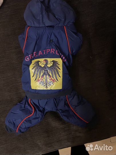 Зимний костюм для собак