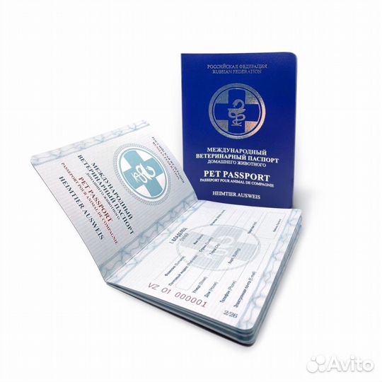 Ветеринарный паспорт, ф1, ф5, титры бешенства