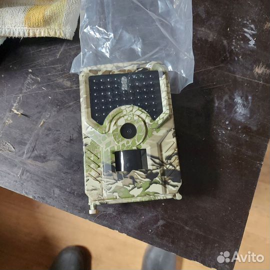 Фотоловушка