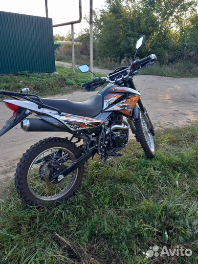 Racer panrher 300