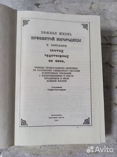 Земная жизнь и писание святых чудотворных икон