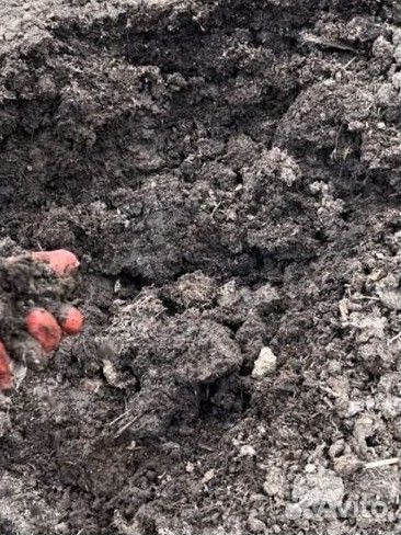 Перегной коровий в мешках