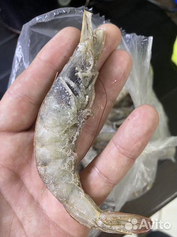 Креветка королевская размер 40-50 штук в 1 кг