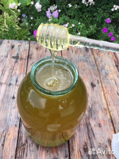 Мёд 2023 от пчеловода.Предзаказ