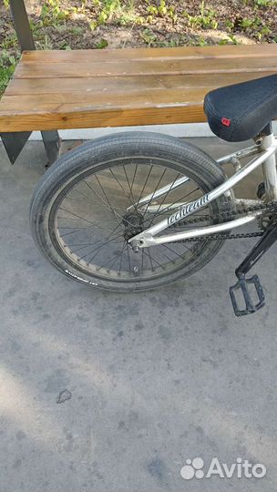 Bmx techteam millennium