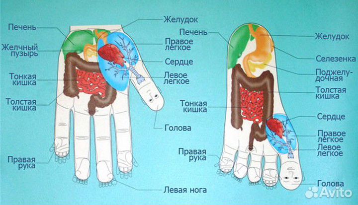 Су-Джок Шар и 2 кольца массажёр для рук