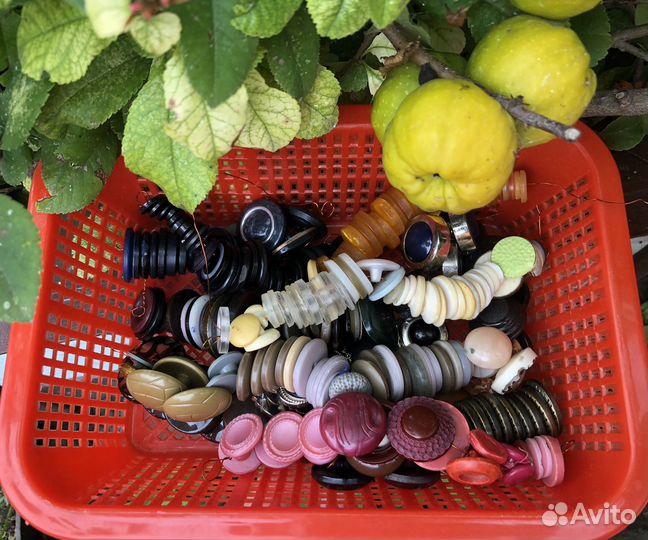 Пуговицы СССР и современные