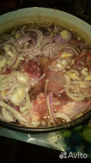 Мясо нутрии