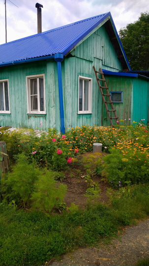 Дом 31,7 м² на участке 69 сот.