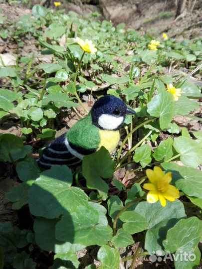 Войлочная синица