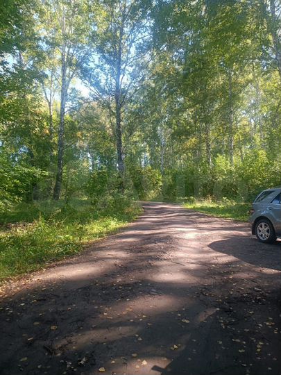 Участок 10 сот. (СНТ, ДНП)