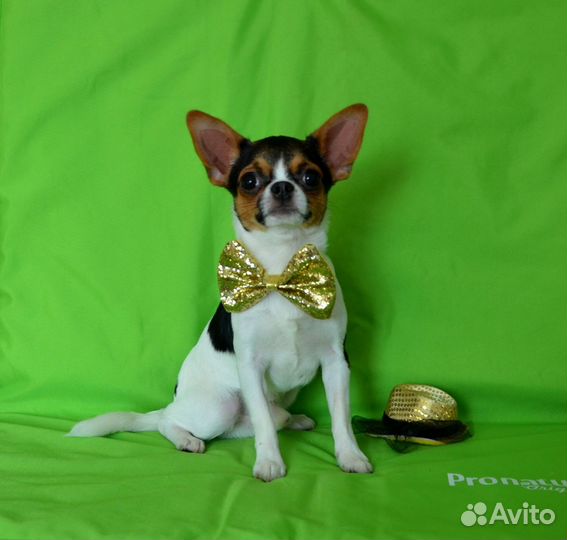 Мальчик красавчик 6 мес