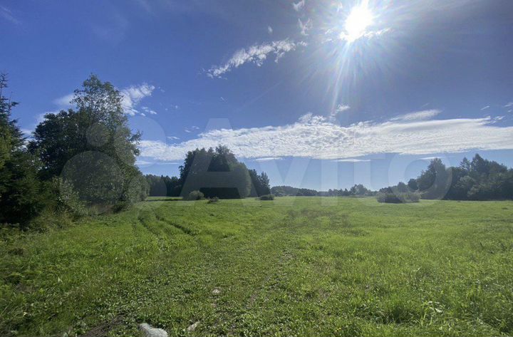 Участок 1,7 га (СНТ, ДНП)