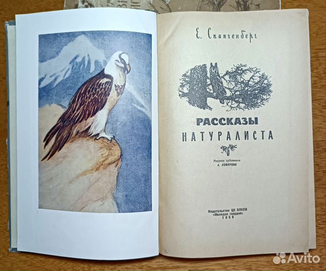 Книги Е.П. Спангенберга 1950-х гг