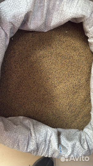 Семена люцерны