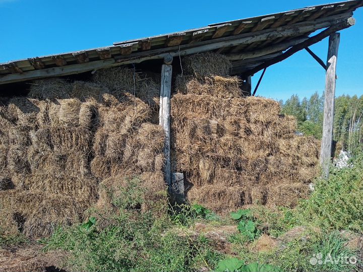 Сено в тюках