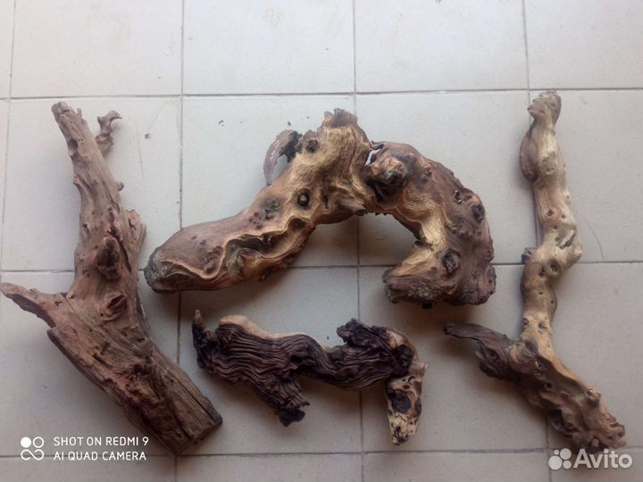 Коряги Мопани, Мангра. Грунт Пропант, Кварц