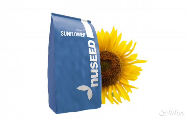 Cемена подсолнечника Н4Х302Е (Nuseed)